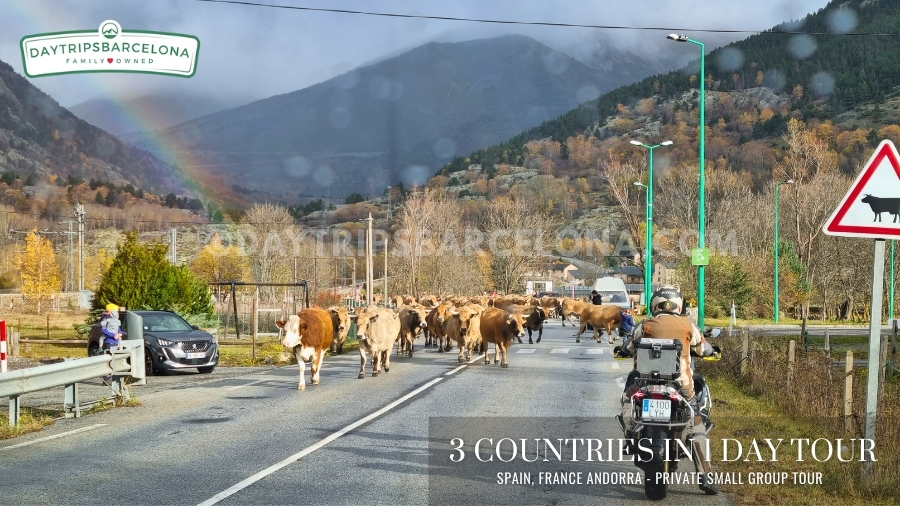 family-owned, family-run tour company Barcelona